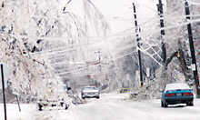 Insurance Against Phone Line Loss